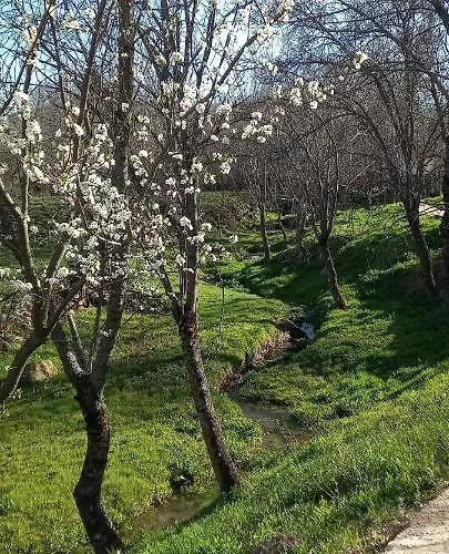 Tatil Evi Casa Del Rio *