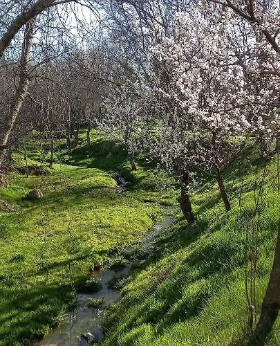 Tatil Evi Casa Del Rio